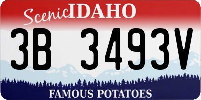 ID license plate 3B3493V