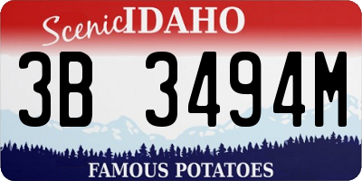 ID license plate 3B3494M