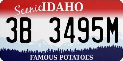 ID license plate 3B3495M
