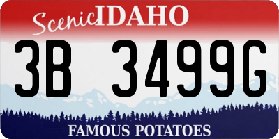 ID license plate 3B3499G