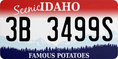 ID license plate 3B3499S