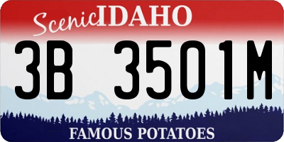 ID license plate 3B3501M