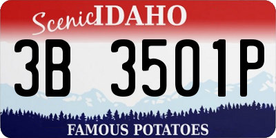 ID license plate 3B3501P