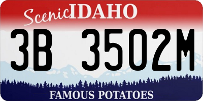 ID license plate 3B3502M