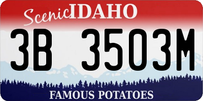 ID license plate 3B3503M