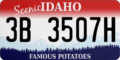 ID license plate 3B3507H