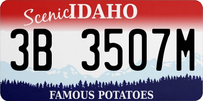 ID license plate 3B3507M
