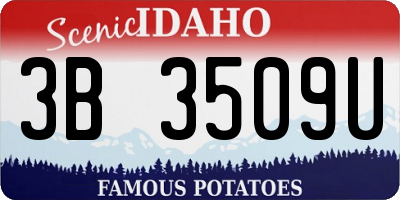ID license plate 3B3509U