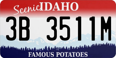 ID license plate 3B3511M