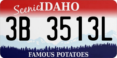 ID license plate 3B3513L