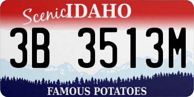 ID license plate 3B3513M