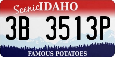 ID license plate 3B3513P