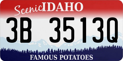 ID license plate 3B3513Q