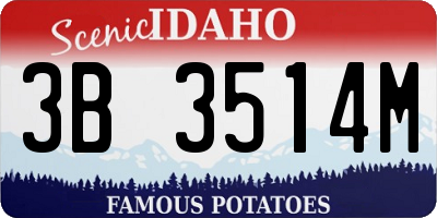 ID license plate 3B3514M