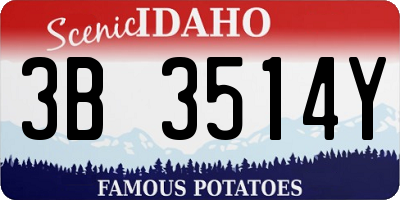 ID license plate 3B3514Y