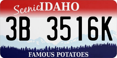ID license plate 3B3516K