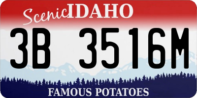 ID license plate 3B3516M