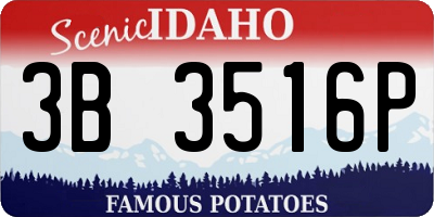 ID license plate 3B3516P
