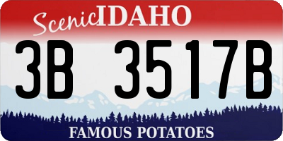 ID license plate 3B3517B