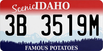 ID license plate 3B3519M