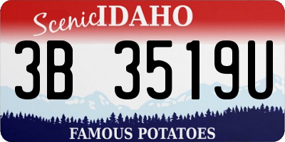 ID license plate 3B3519U
