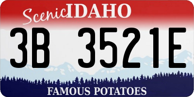 ID license plate 3B3521E