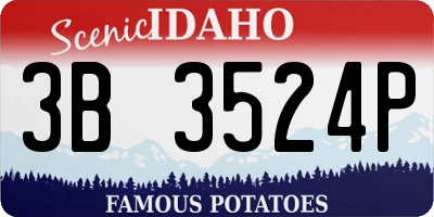 ID license plate 3B3524P