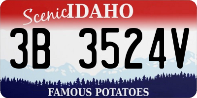 ID license plate 3B3524V