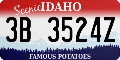 ID license plate 3B3524Z