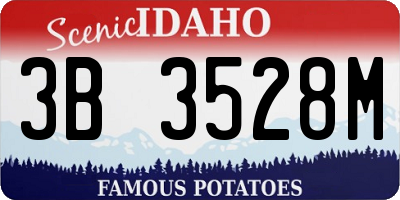 ID license plate 3B3528M