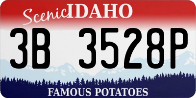 ID license plate 3B3528P