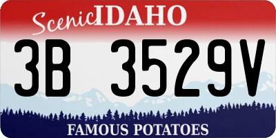 ID license plate 3B3529V