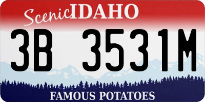 ID license plate 3B3531M