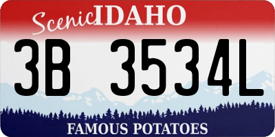 ID license plate 3B3534L