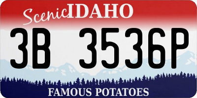 ID license plate 3B3536P