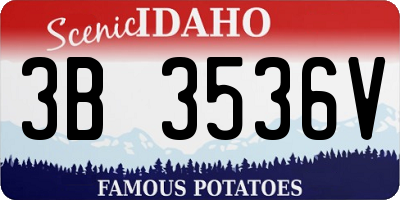 ID license plate 3B3536V