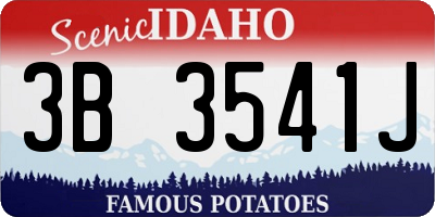 ID license plate 3B3541J