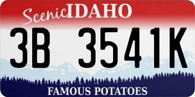 ID license plate 3B3541K