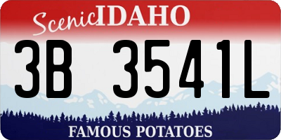 ID license plate 3B3541L