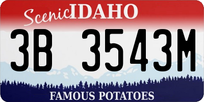 ID license plate 3B3543M