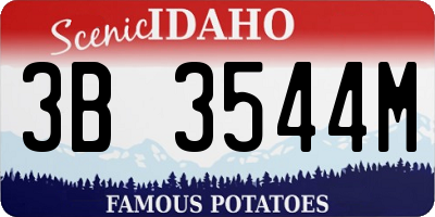 ID license plate 3B3544M