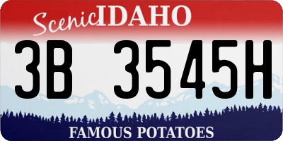 ID license plate 3B3545H
