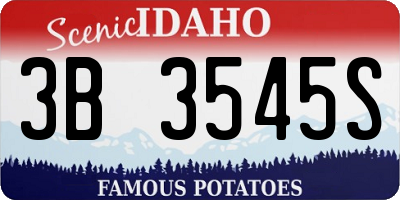 ID license plate 3B3545S