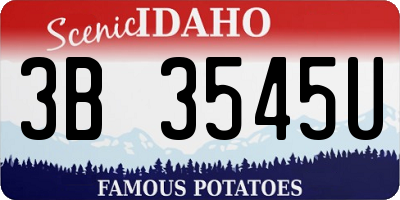 ID license plate 3B3545U