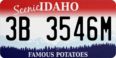 ID license plate 3B3546M