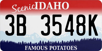 ID license plate 3B3548K