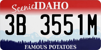 ID license plate 3B3551M