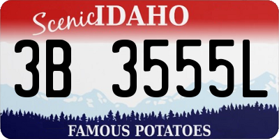 ID license plate 3B3555L