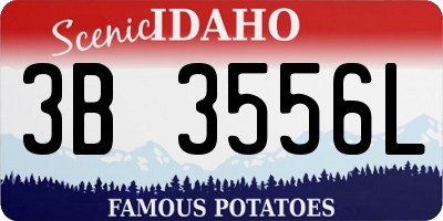 ID license plate 3B3556L