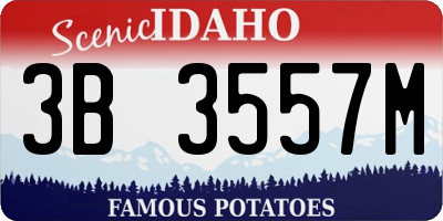 ID license plate 3B3557M